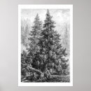 Suche nach naturlandschaft poster Baum