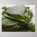Recherche de tas posters Fraîcheur