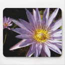 Suche nach lotos mousepads Lilien