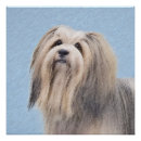 Suche nach havaneser poster Hund