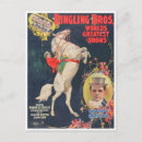 Recherche de castello cartes postales Cirque