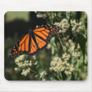 Recherche de papillon monarque tapis souris Noir