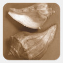 Recherche de renne autocollants Nature