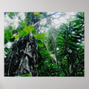 Suche nach regenwald poster Hawaii