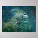 Recherche de coquille posters Aqua