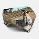 Recherche de ferme petite cravates Poulailler