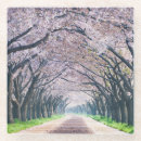 Suche nach kirschbaum untersetzer Kirschblüte