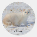 Suche nach katze schnee aufkleber Kitty