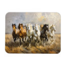 Recherche de horse magnets Mustang
