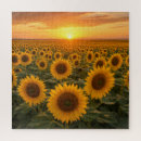 Recherche de champs puzzles Campagne