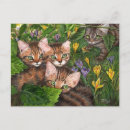 Recherche de feuille 4 cartes postales Vert
