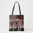 Suche nach seil taschen See