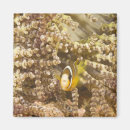 Recherche de sous marin magnets Animal