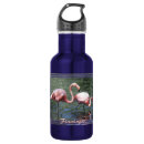 Suche nach rosa flamingos trinkflaschen Vögel