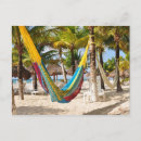 Recherche de hammock cartes postales Palmiers