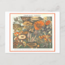 Recherche de toxique cartes postales Champignon