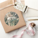 Suche nach rackham aufkleber Vintag