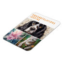 Suche nach orange blumen magnete Für sie