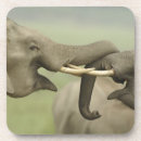 Suche nach asiatischer elefant untersetzer Fauna