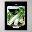Suche nach seed poster Vintage