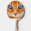 Recherche de chat domestique raquettes ping pong Chaton