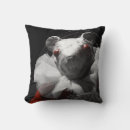 Recherche de sang de mon coussins Rouge