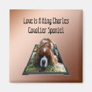 Recherche de cavaliers magnets Animal