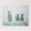 Recherche de animal puzzles Animaux dans la nature