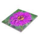 Suche nach fuchsia fliesen Blumenreich