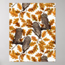 Suche nach baumwolle poster Botanisch