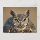 Suche nach taille postkarten Tierwelt