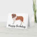 Suche nach st bernard karten Welpen