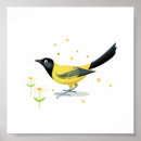 Suche nach vogelbilder poster Tier