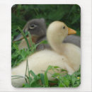 Recherche de canard jaune tapis souris Bébé