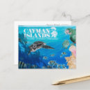 Suche nach cayman islands postkarten Kaimaninseln