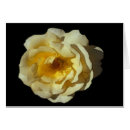 Recherche de rassemblements photographie Anniversaire
