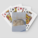 Recherche de lapins jeux de cartes Pour tous