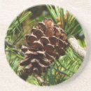 Recherche de attrayant dessous de verres Beau