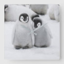 Suche nach niedlicher penguin wanduhren Antarktis