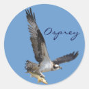 Suche nach osprey aufkleber Fliegend