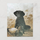 Recherche de de chasse de canard invitations Chasseur