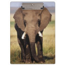 Suche nach afrikanische tiere klemmbrett Superstock