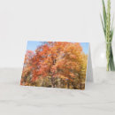 Suche nach orangenbaum karten Bäume