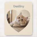 Suche nach haustiergeschenke mousepads Katze