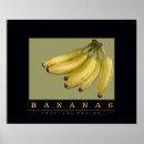 Recherche de banane jaune posters Tropical