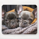 Suche nach wärme mousepads Tier