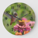 Recherche de fleur de colibri horloges Jardin