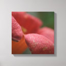 Suche nach wallart leinwandbilder Blume
