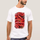 Suche nach chilipfeffer tshirts Jalapenopfeffer