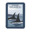 Recherche de orque magnets Baleines